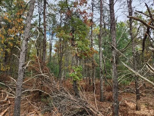 $32,900 | Parcel D West 16th Street, Baldwin, MI 49304