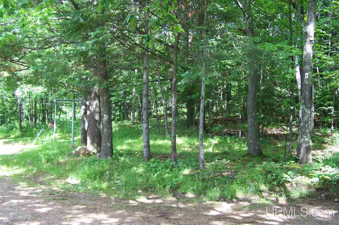 235 Chicago Mine Road Wakefield, MI 49968 - Photo 32 of 34