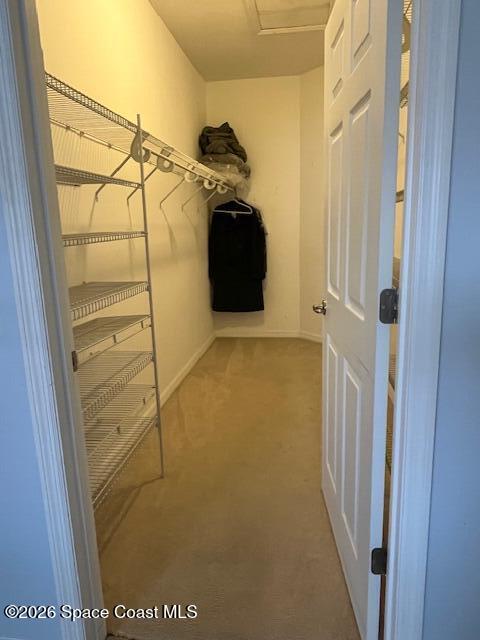 3111 Le Conte Street Melbourne, FL 32940 - Photo 16 of 33 IMG_5424