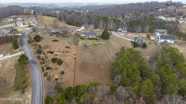 a big room with large trees and a big yard