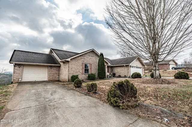 a view of a dry yard with trees