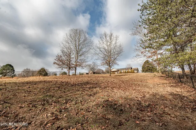 a view of a city and mountains