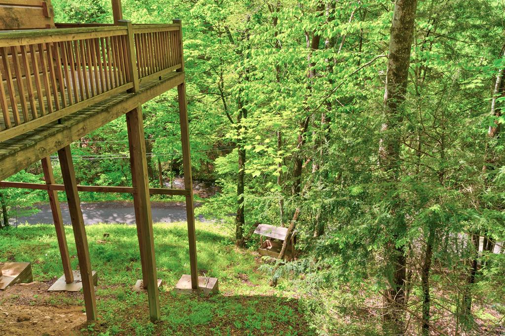 75 Laurel Creek Road Blue Ridge, GA 30513 - Photo 4 of 41 Gallery Image 4