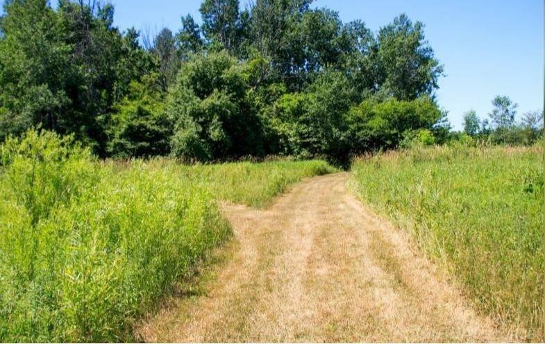0 Patterson Road Ubly, MI 48475 - Photo 4 of 5