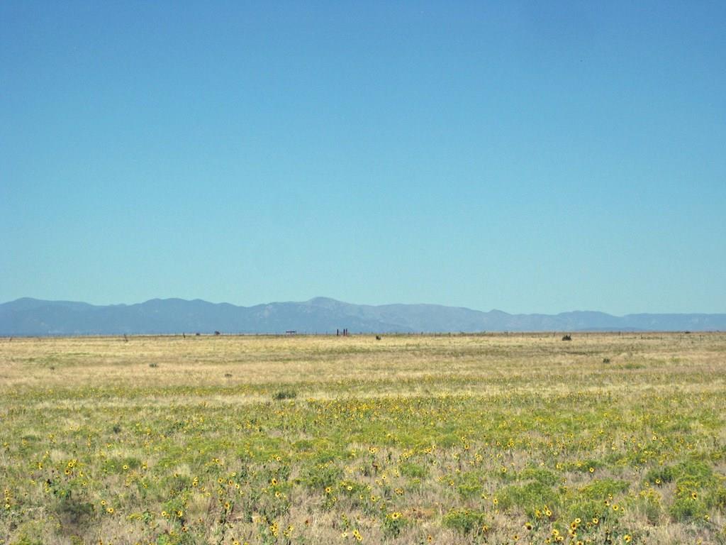 116 Wolfenberger Road Pueblo, CO 81004 - Photo 8 of 21