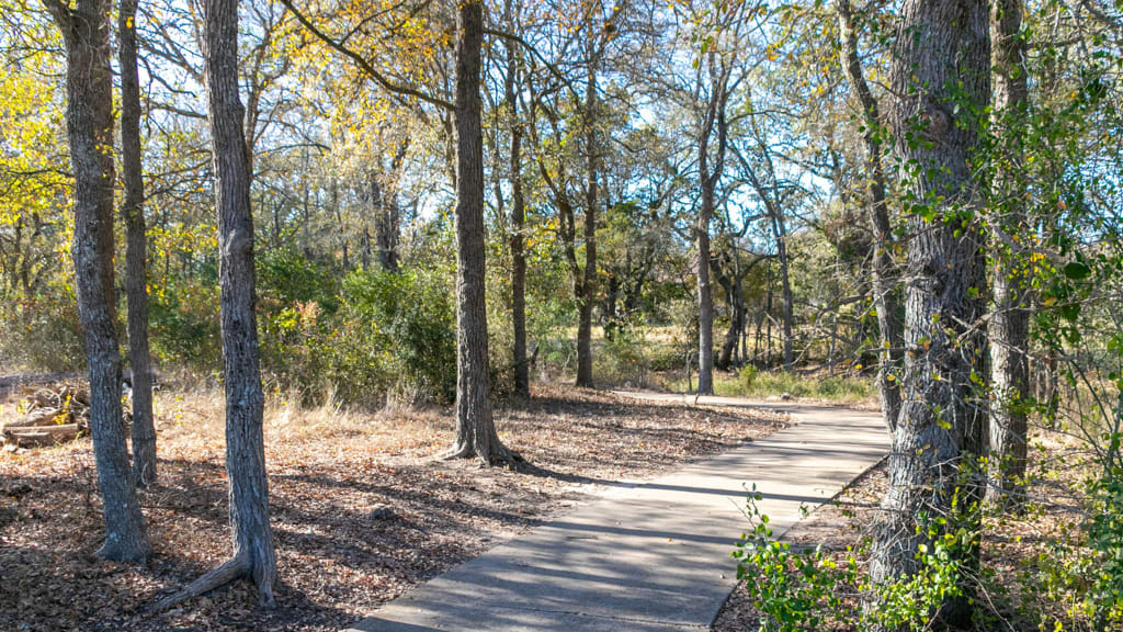 286 Maddy Way Bastrop, TX 78602 - Photo 10 of 10