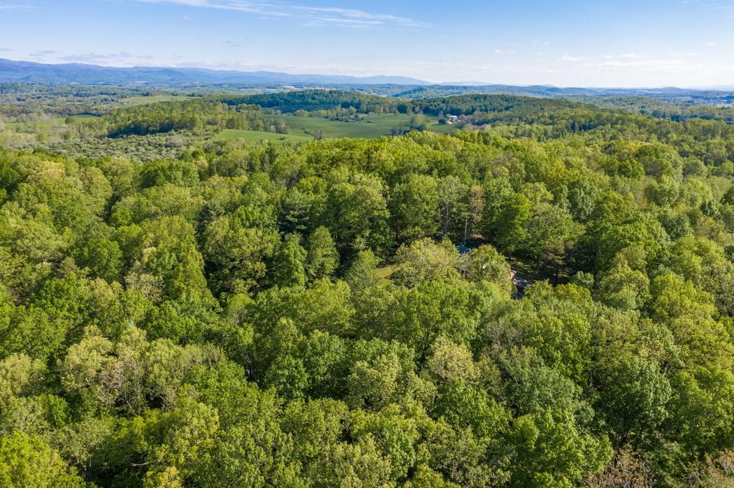 239 Abbington Road Swoope, VA 24479 - Photo 71 of 75 Gallery Image 71