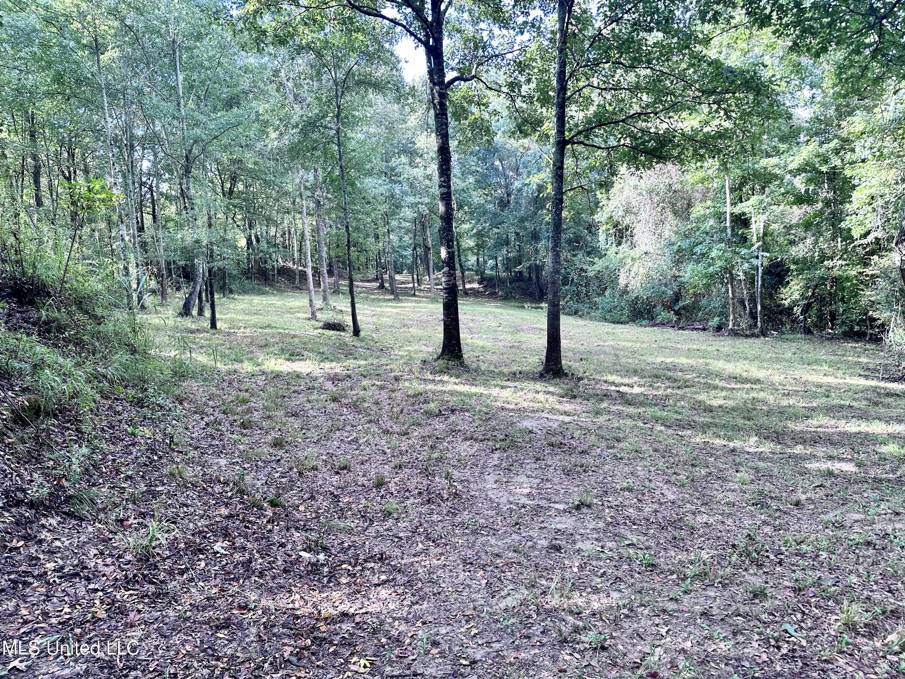 0 Ridge Road Yazoo City, MS 39194 - Photo 1 of 14 Photo Sep 25 2024, 9 28 24 AM