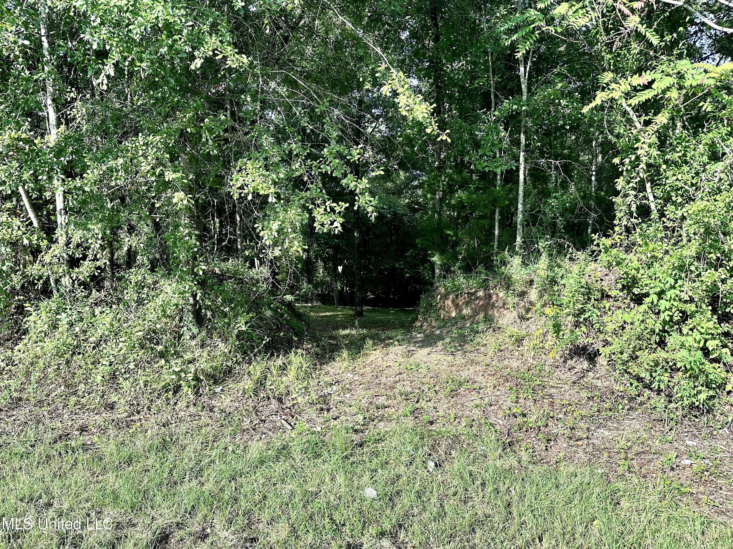 0 Ridge Road Yazoo City, MS 39194 - Photo 3 of 14 Photo Sep 25 2024, 9 27 46 AM