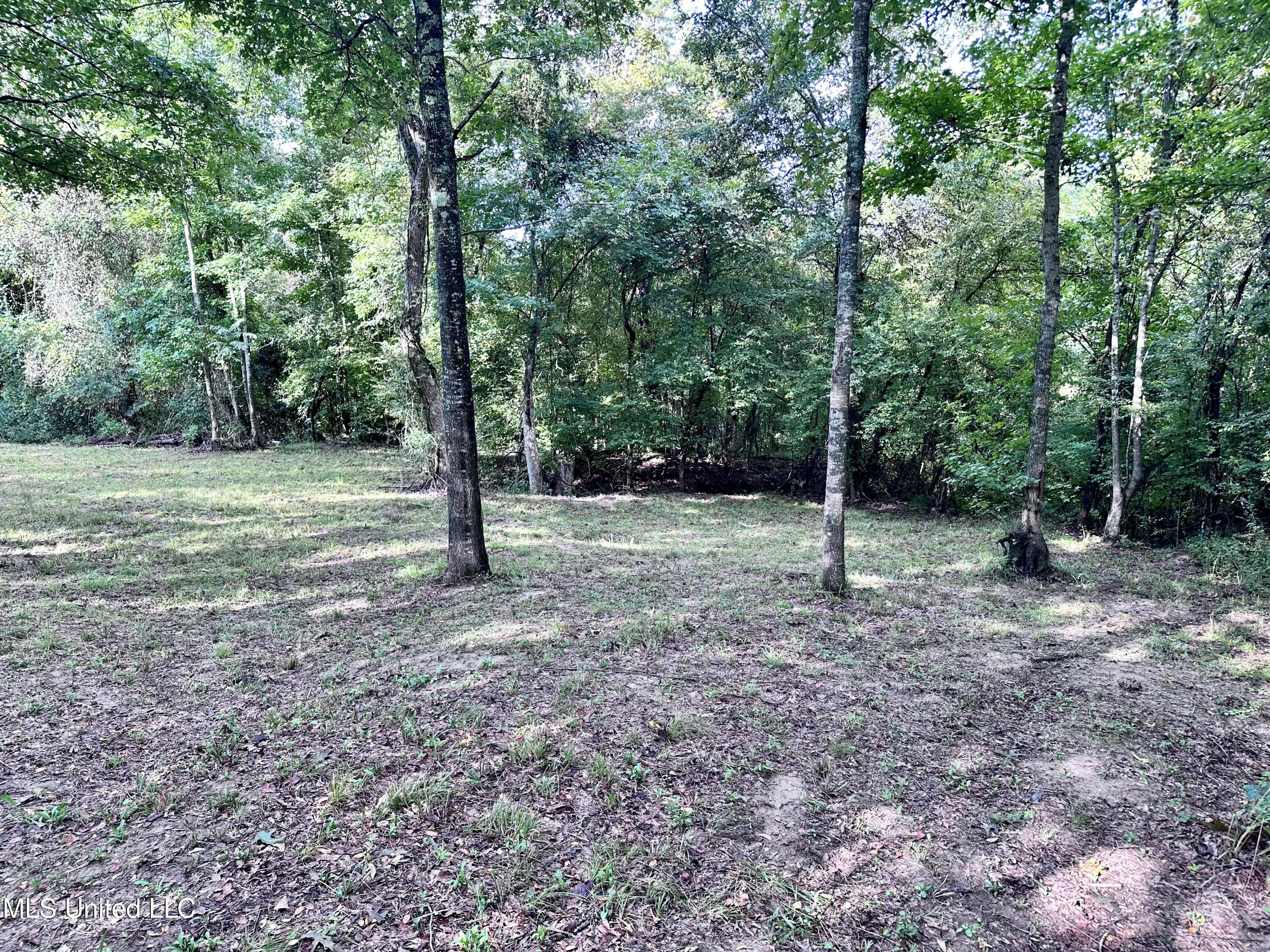 0 Ridge Road Yazoo City, MS 39194 - Photo 5 of 14 Photo Sep 25 2024, 9 28 27 AM