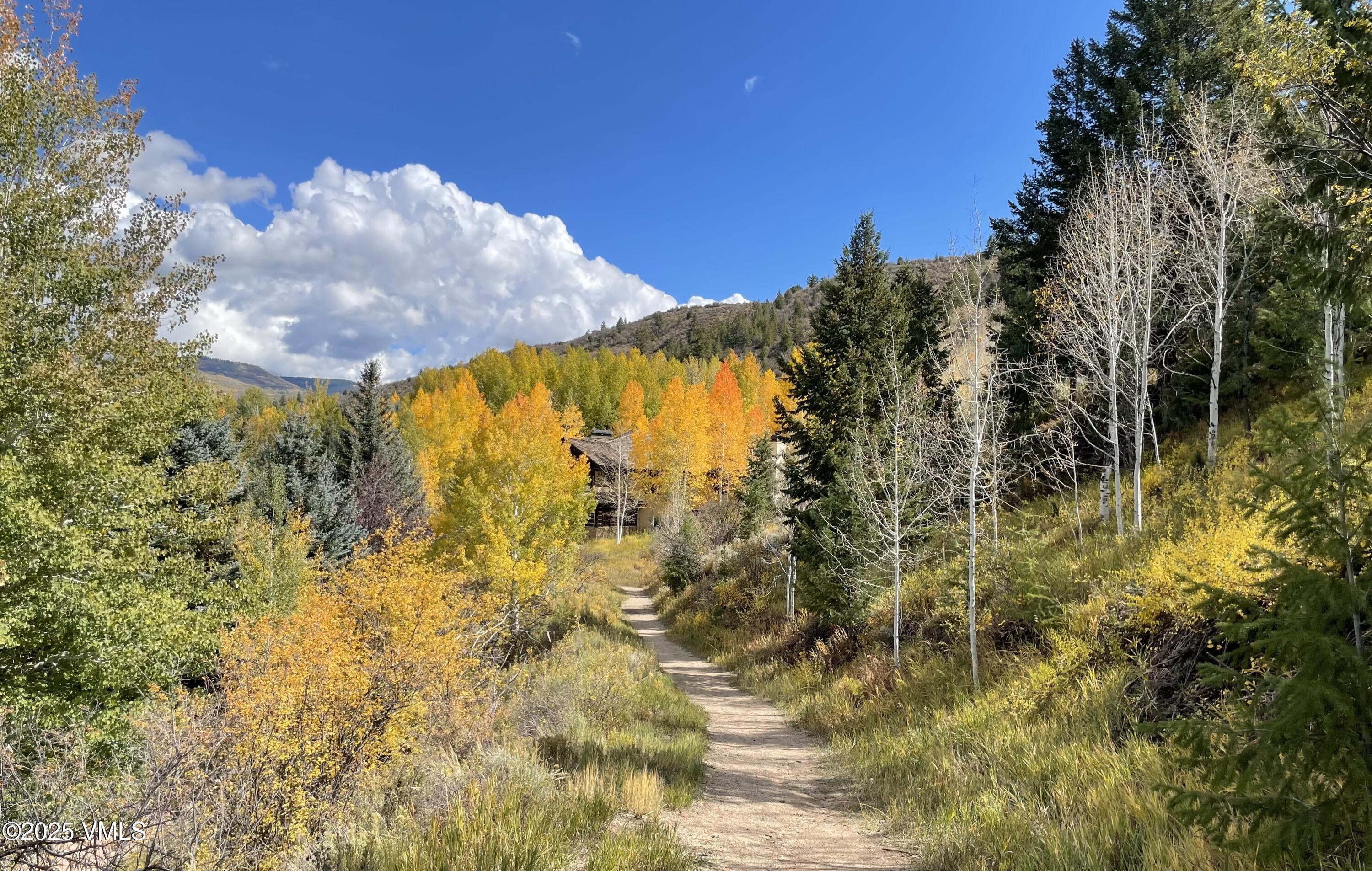 63 Dakota Park Edwards, CO 81632 - Photo 16 of 16 Path behind house