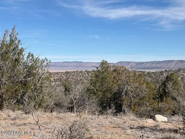 a view of a large building with a mountain in the background