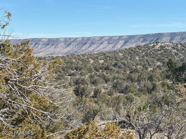 55991 North Bridge Canyon Road Seligman, AZ 86337 - Photo 2 of 12 a view of a forest