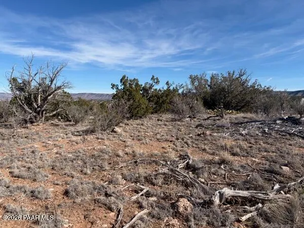 a view of a dry field with trees in background