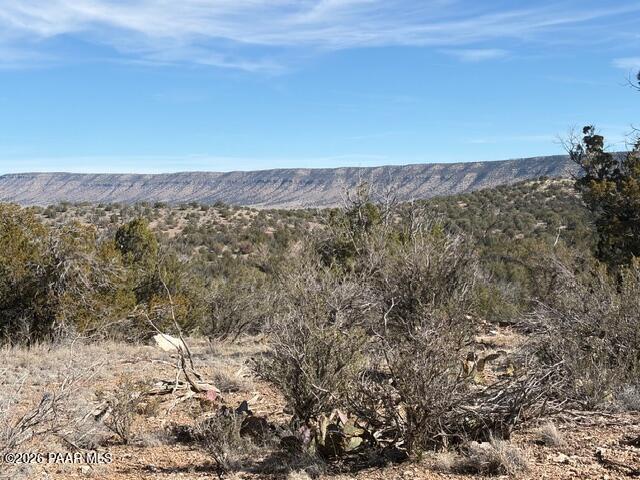 55991 North Bridge Canyon Road Seligman, AZ 86337 - Photo 4 of 12 a view of a forest with trees in the background