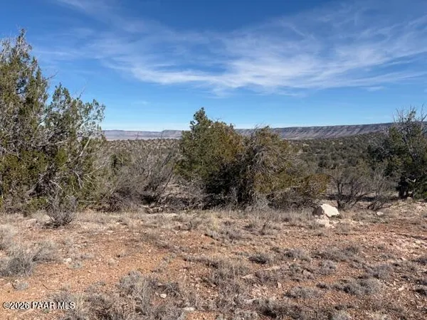 a view of a dry yard with trees