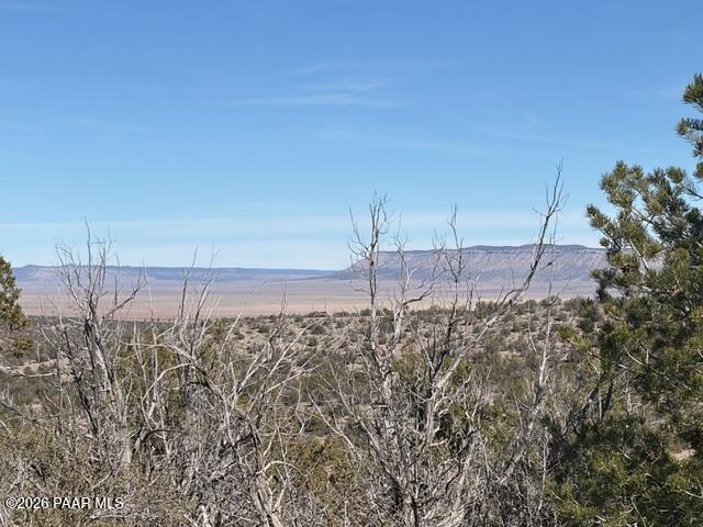 55991 North Bridge Canyon Road Seligman, AZ 86337 - Photo 6 of 12 a view of a backyard