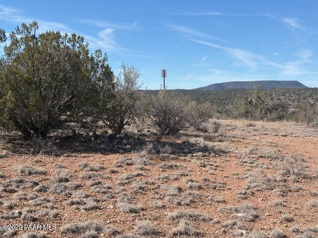 55991 North Bridge Canyon Road Seligman, AZ 86337 - Photo 7 of 12 a view of a covered with snow in the background