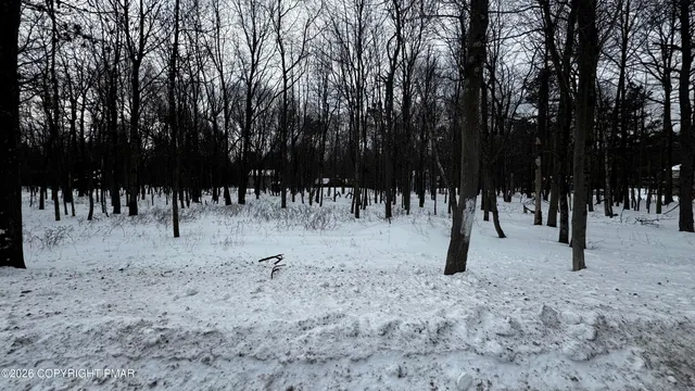 a view of a park with trees