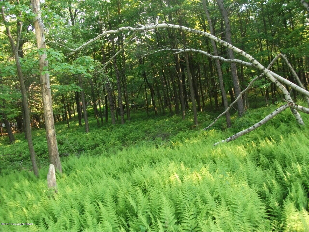 Lot Ev Stony Mountain Road Albrightsville, PA 18210 - Photo 11 of 20 EV961 Stony Mountain Road