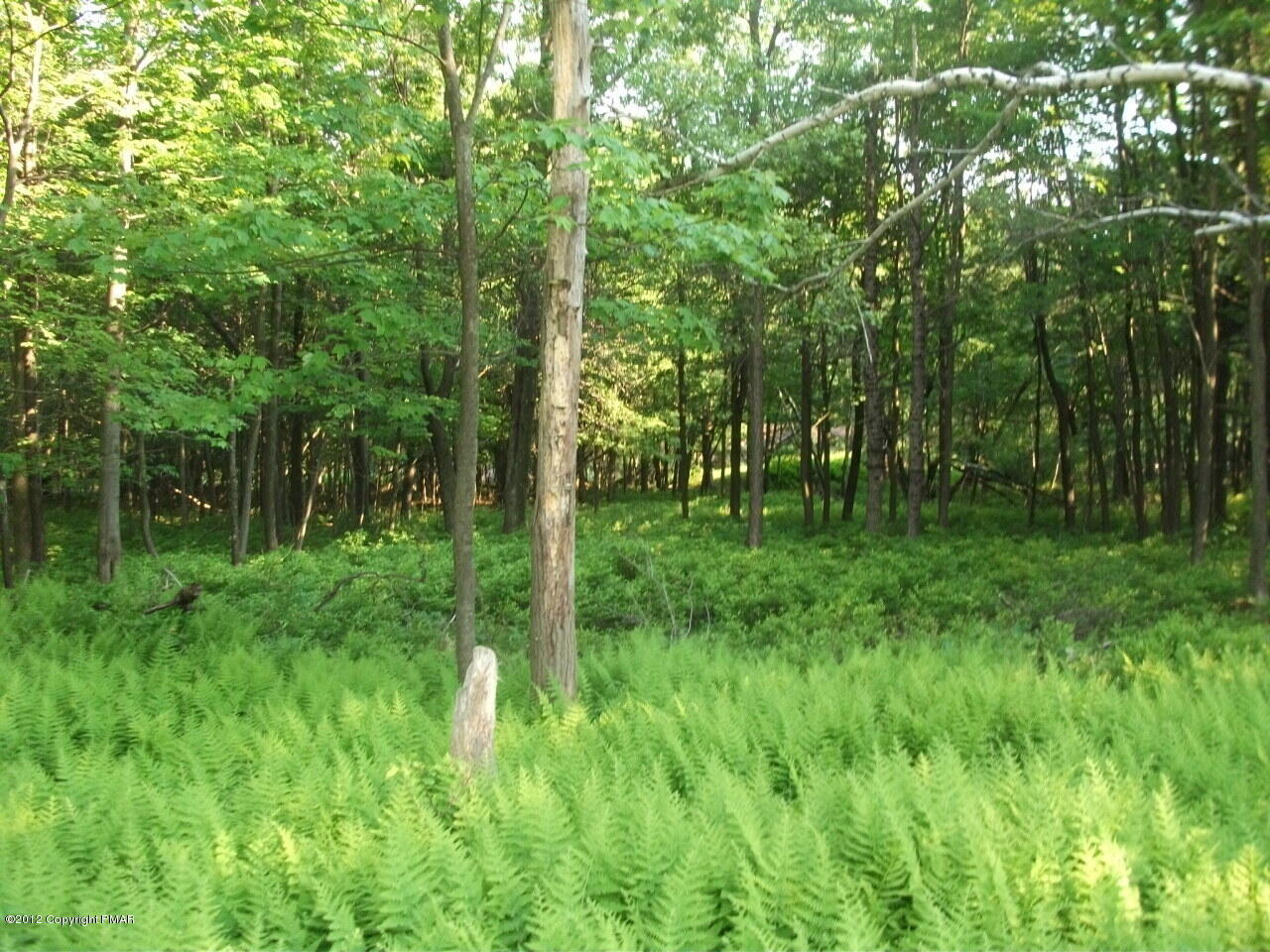 Lot Ev Stony Mountain Road Albrightsville, PA 18210 - Photo 12 of 20 EV961 Stony Mountain Road