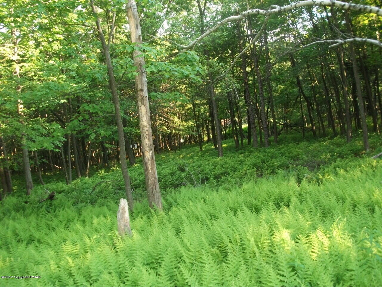 Lot Ev Stony Mountain Road Albrightsville, PA 18210 - Photo 14 of 20 EV961 Stony Mountain Road