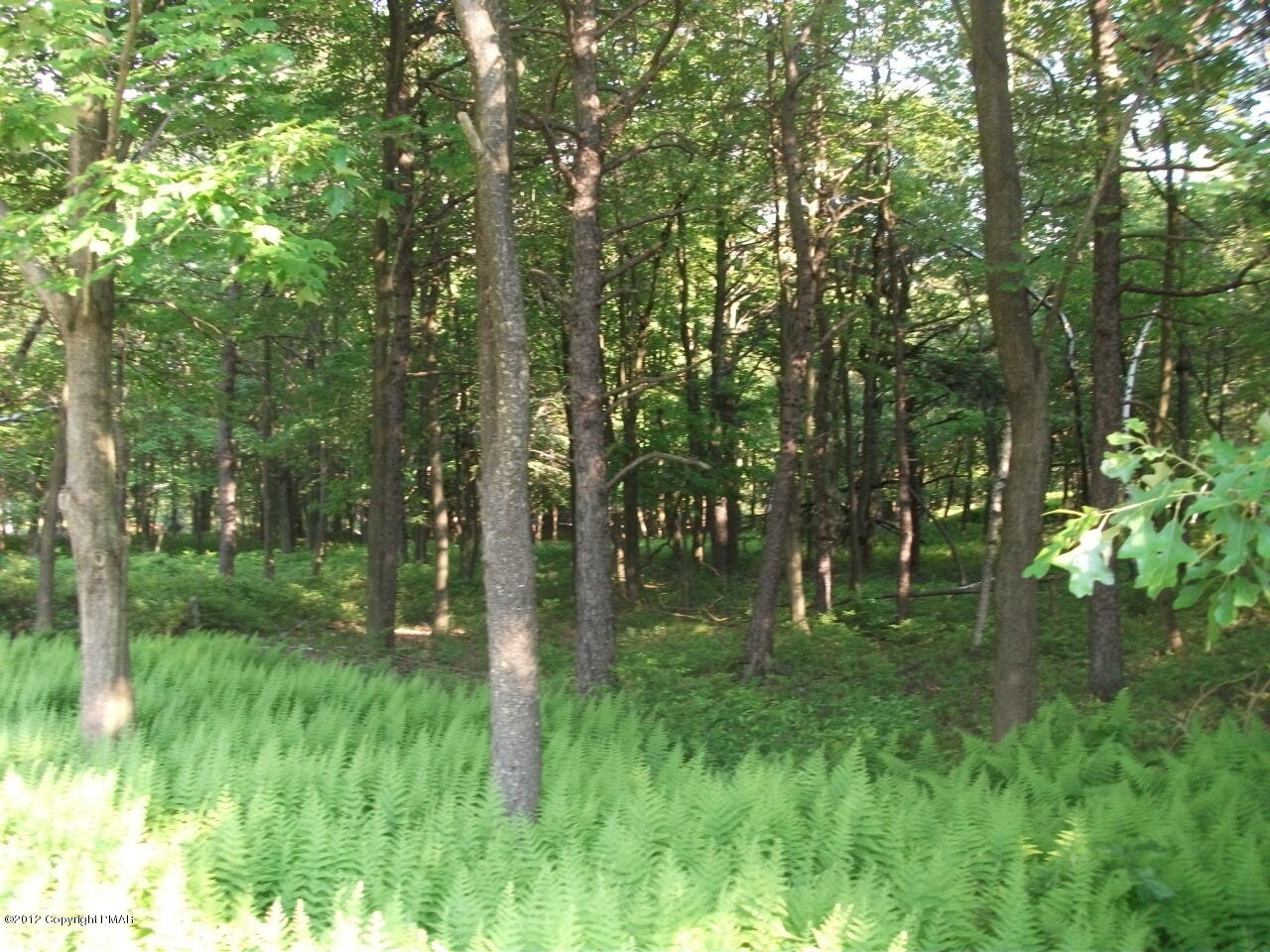 Lot Ev Stony Mountain Road Albrightsville, PA 18210 - Photo 15 of 20 EV961 Stony Mountain Road