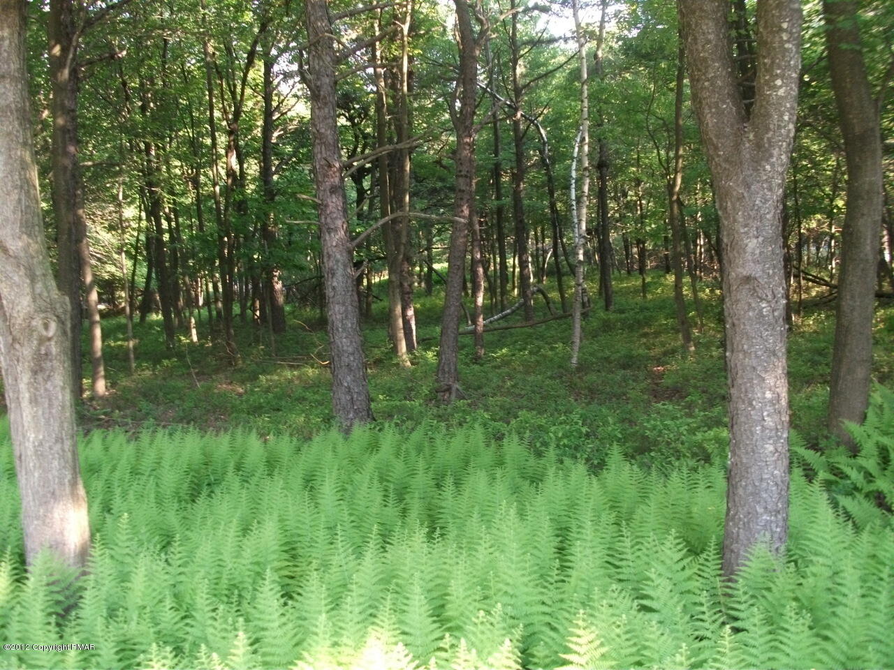 Lot Ev Stony Mountain Road Albrightsville, PA 18210 - Photo 16 of 20 EV961 Stony Mountain Road