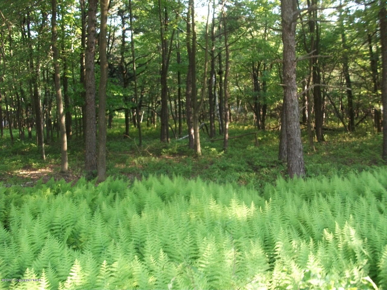 Lot Ev Stony Mountain Road Albrightsville, PA 18210 - Photo 19 of 20 EV961 Stony Mountain Road
