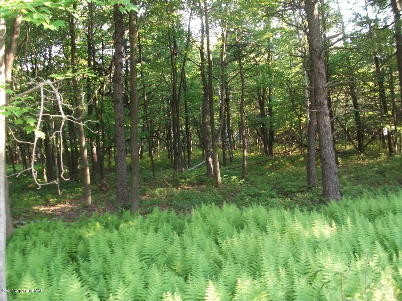 Lot Ev Stony Mountain Road Albrightsville, PA 18210 - Photo 20 of 20 EV961 Stony Mountain Road