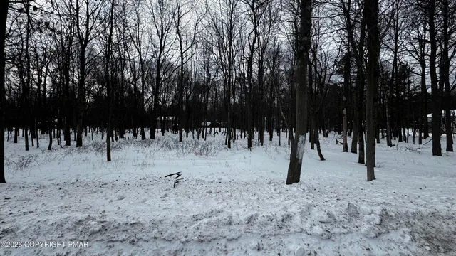a view of a yard with trees