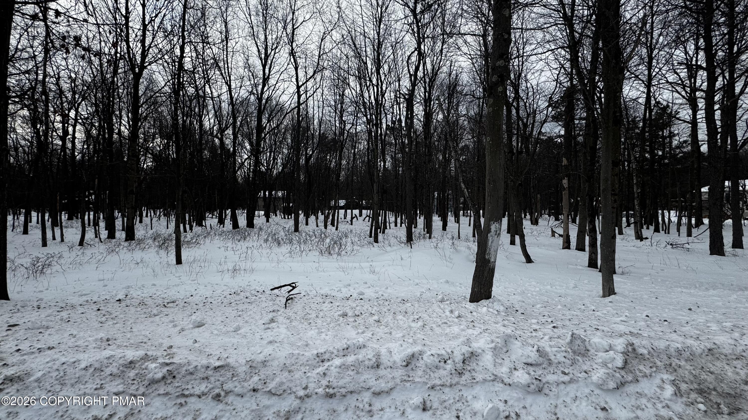 Lot Ev Stony Mountain Road Albrightsville, PA 18210 - Photo 2 of 20 EV961 Stony Mountain Road