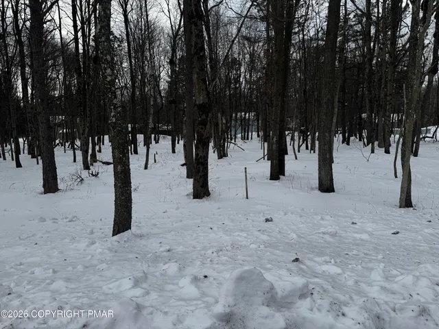 a view of road with trees