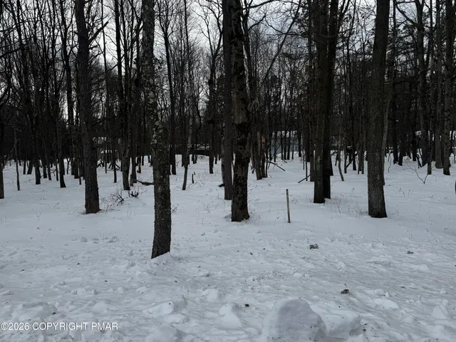 a view of park with trees