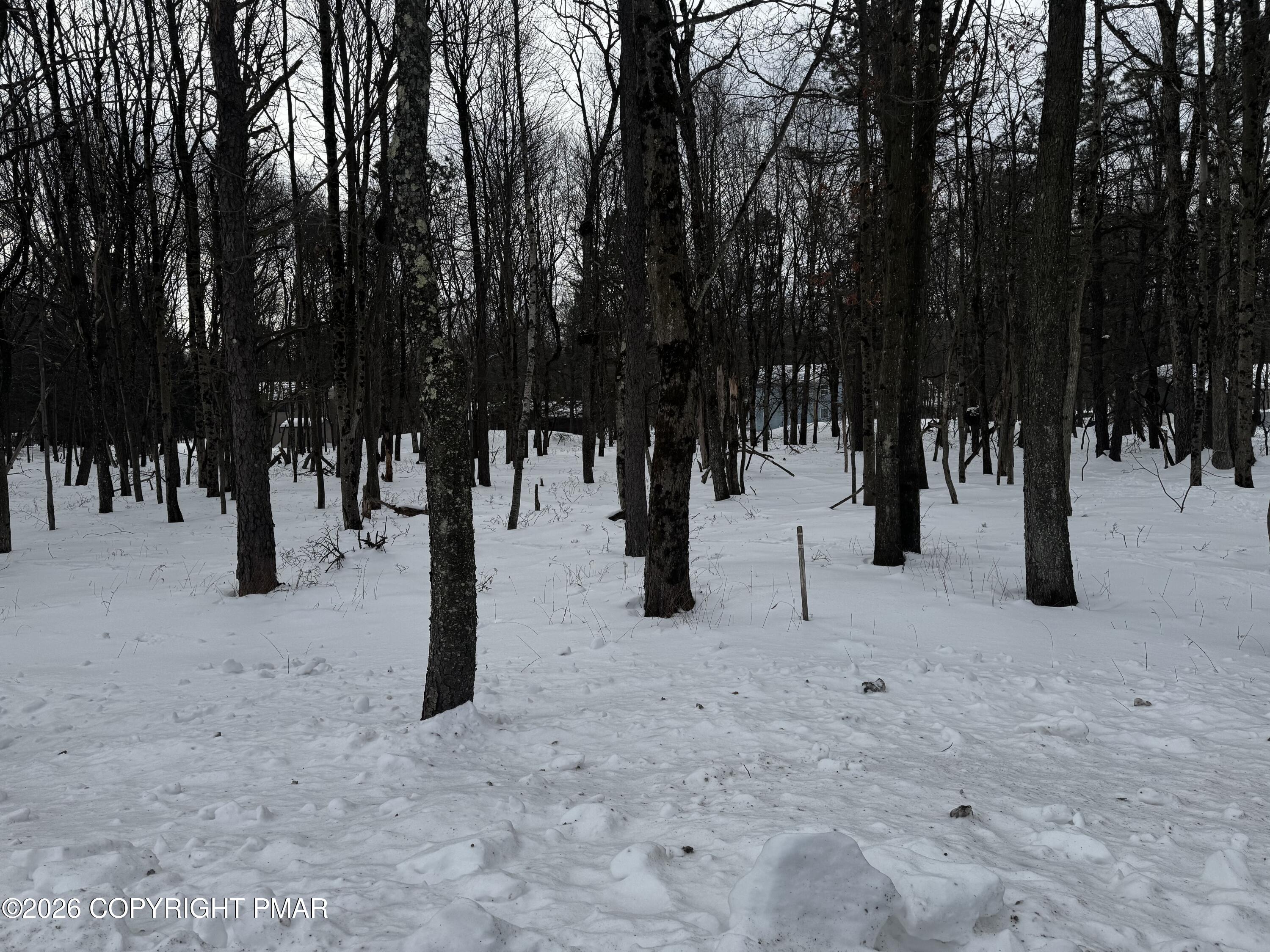 Lot Ev Stony Mountain Road Albrightsville, PA 18210 - Photo 5 of 20 EV961 Stony Mountain Road