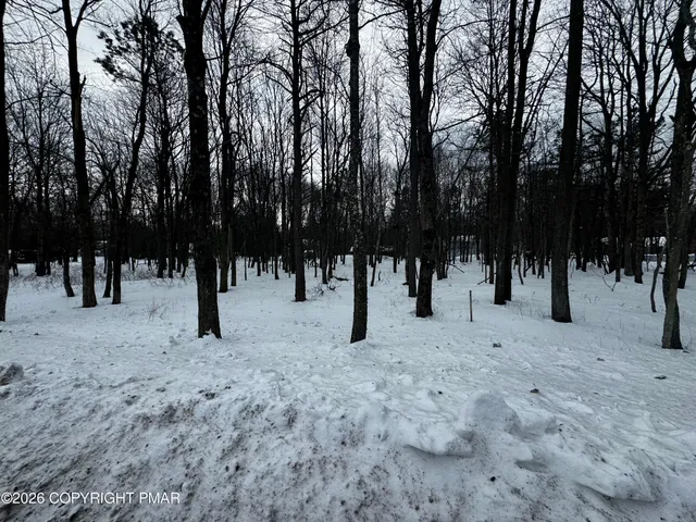a view of a street with trees