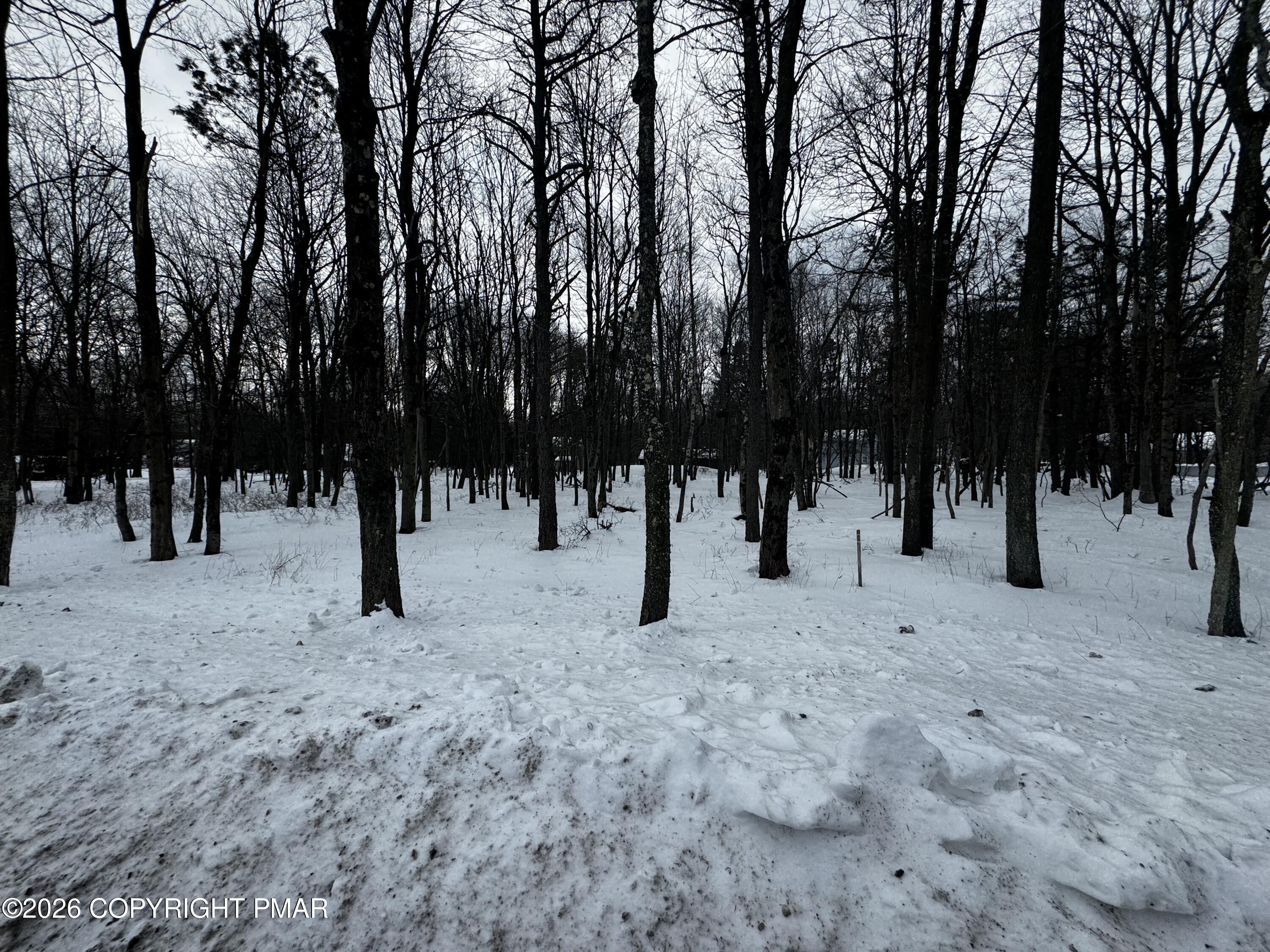 Lot Ev Stony Mountain Road Albrightsville, PA 18210 - Photo 6 of 20 EV961 Stony Mountain Road
