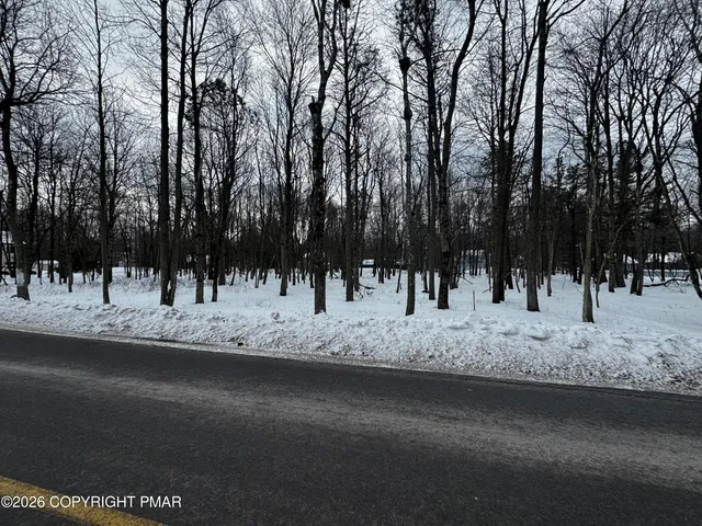 a view of a street with trees in the background