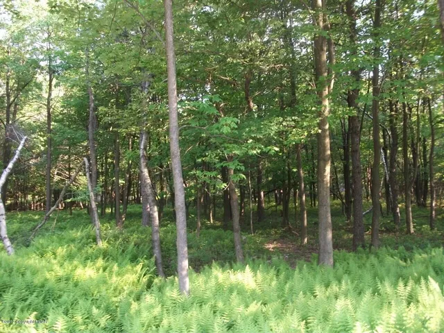 a backyard of a house with lots of green space and trees