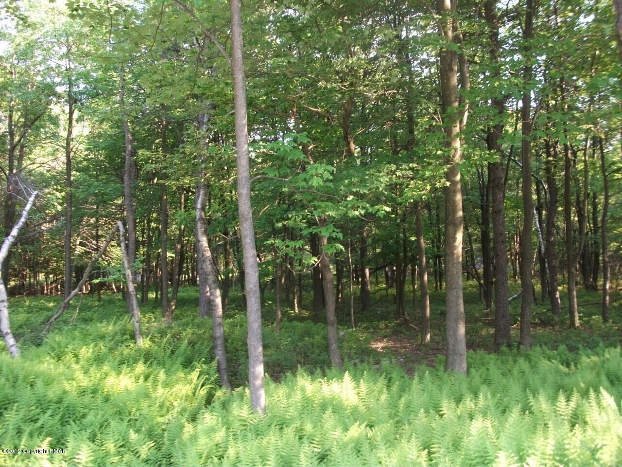 Lot Ev Stony Mountain Road Albrightsville, PA 18210 - Photo 10 of 20 EV961 Stony Mountain Road