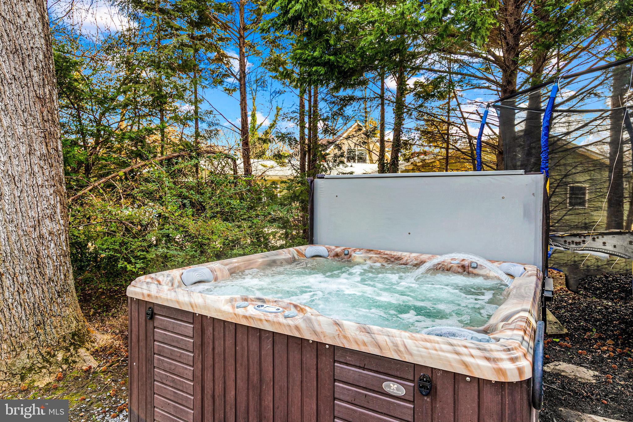 1204 Locust Lane Edgewater, MD 21037 - Photo 30 of 43 Hot Tub