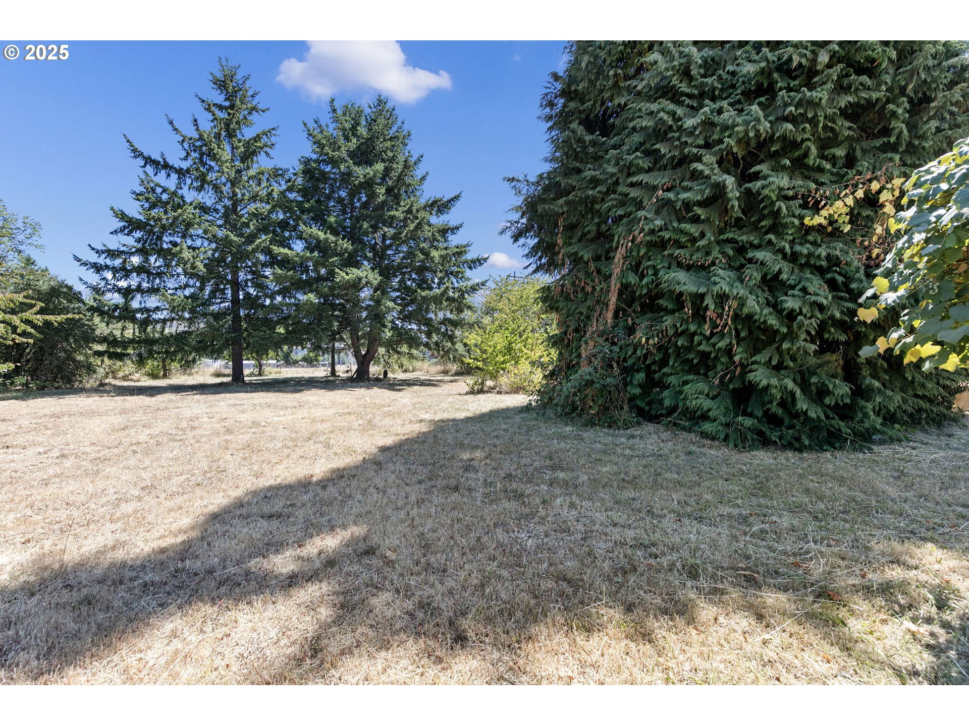 34879 Seavey Loop Road Eugene, OR 97405 - Photo 27 of 34 a view of outdoor space with trees