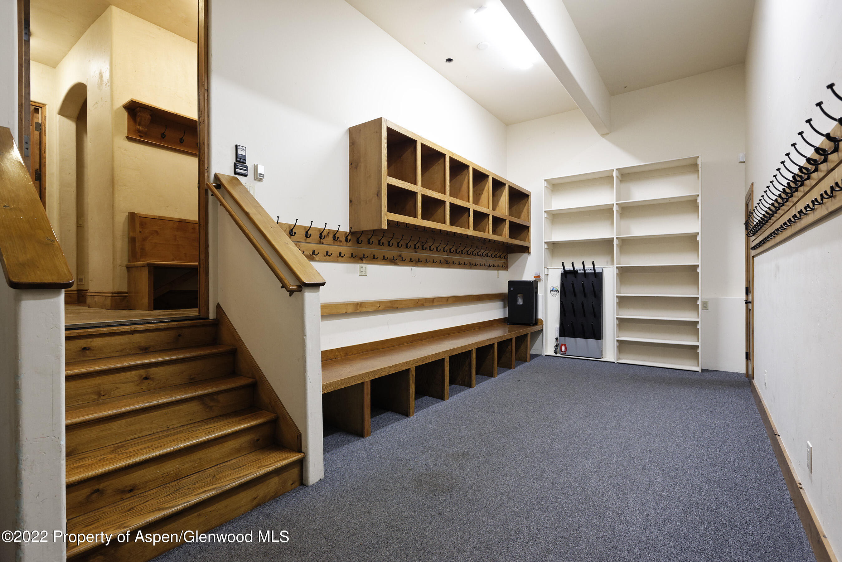 171 Cascade Lane Aspen, CO 81611 - Photo 59 of 62 171Cascade_DASH_07302021058