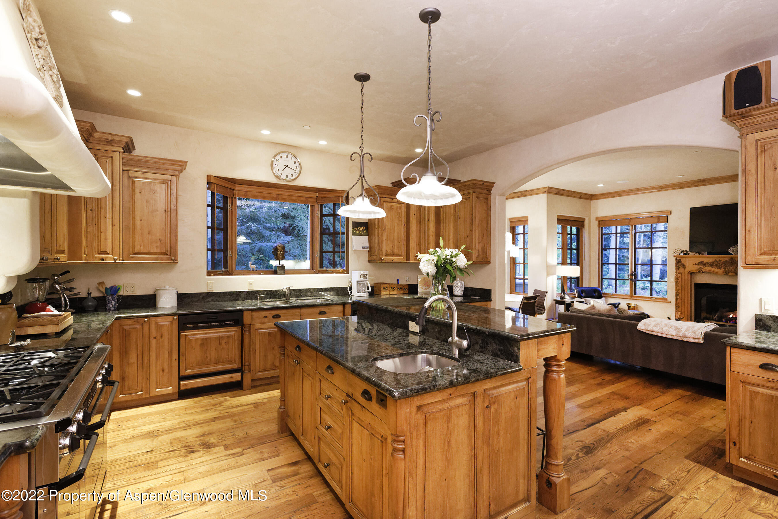 171 Cascade Lane Aspen, CO 81611 - Photo 8 of 62 171Cascade_DASH_07302021009