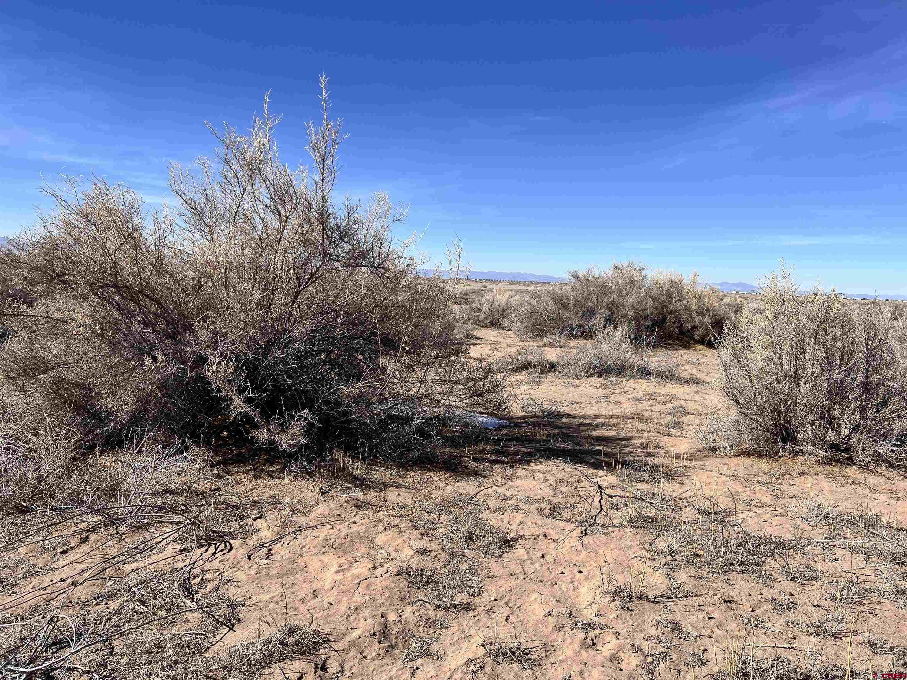 0 Rd S 108 Alamosa, CO 81101 - Photo 7 of 17