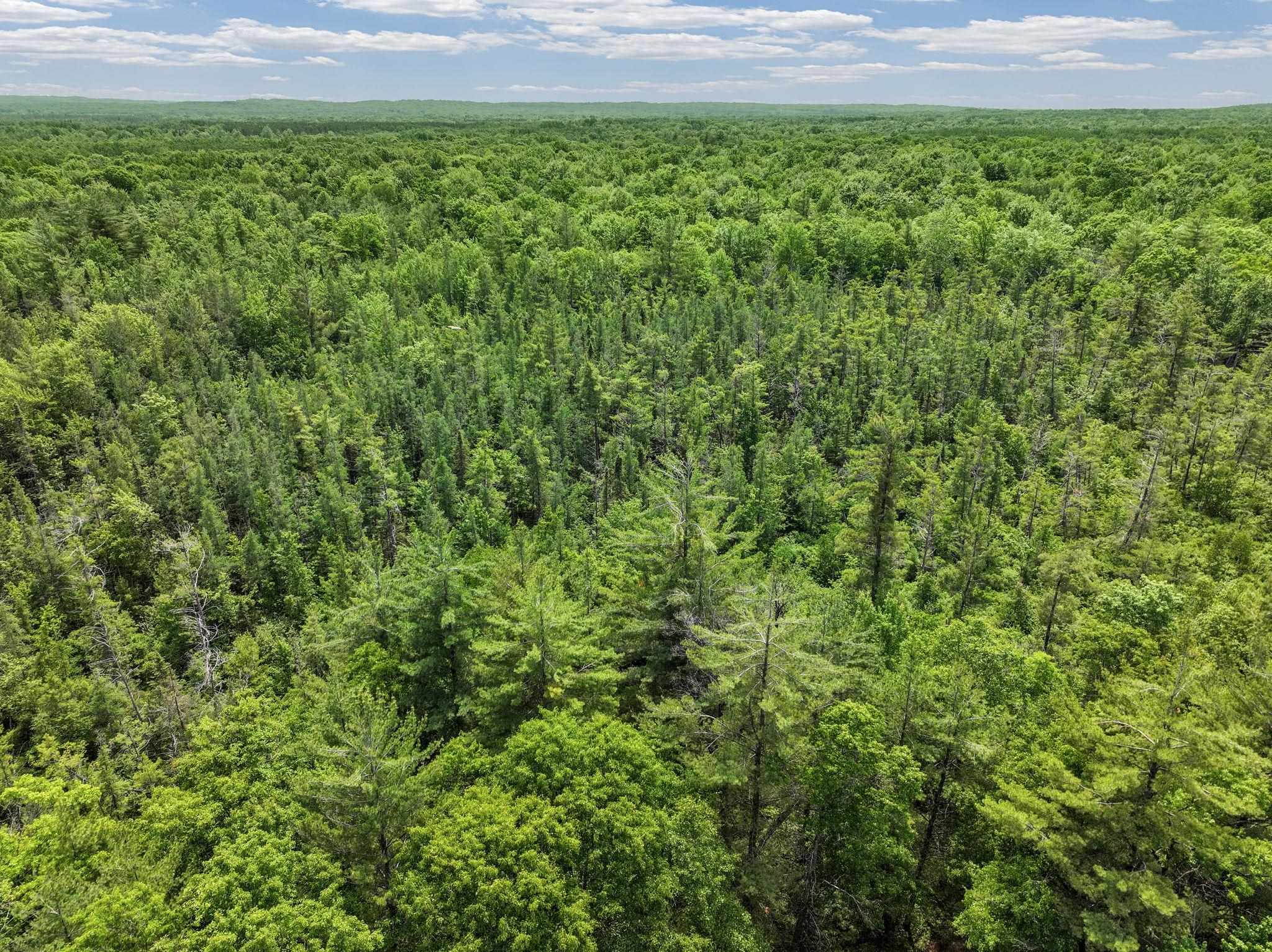 Parcel C Seeley Road Cadillac, MI 49651 - Photo 5 of 18