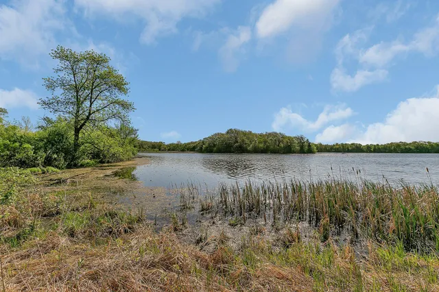 $579,000 | 196633 County Road 9 Northeast, New London, MN 56273