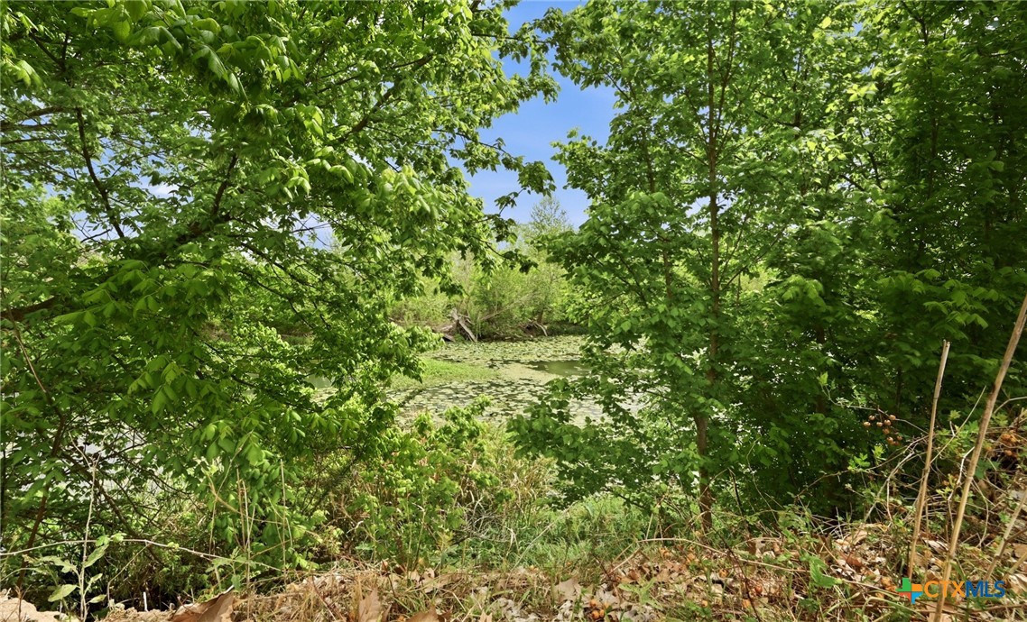 3500 Scull Road Martindale, TX 78655 - Photo 42 of 43