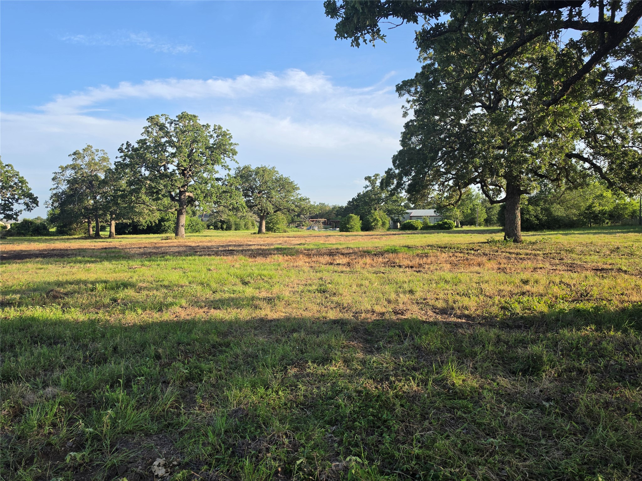 0 Brown Road McDade, TX 78650 - Photo 1 of 5 Mature trees dot this sprawling acreage, providing shade and natural beauty to the land.