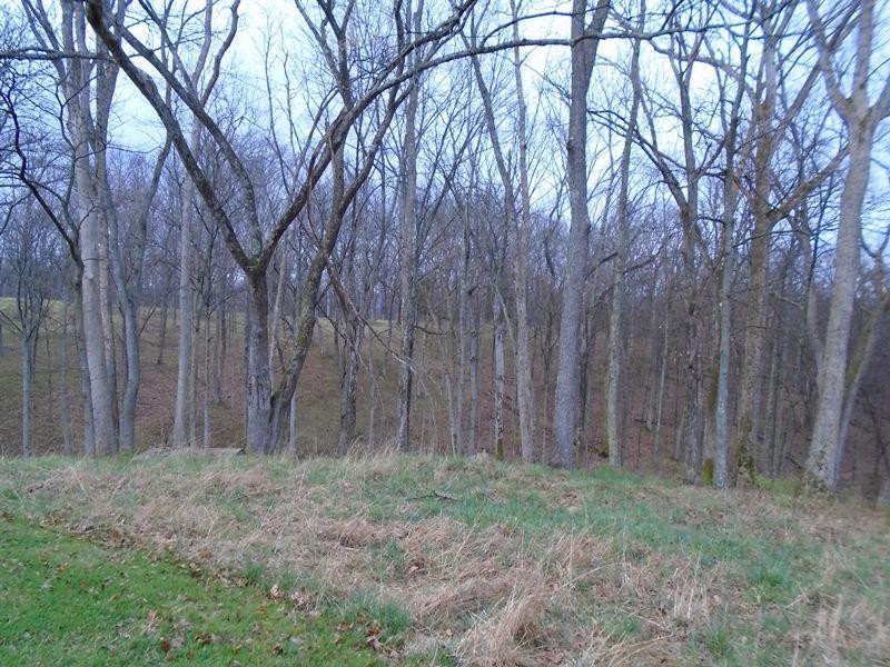 5423 Rabbit Hash Road Union, KY 41091 - Photo 10 of 10 Gallery Image 10